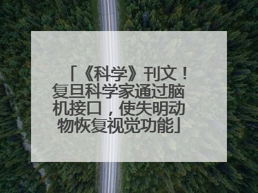 《科学》刊文！复旦科学家通过脑机接口，使失明动物恢复视觉功能