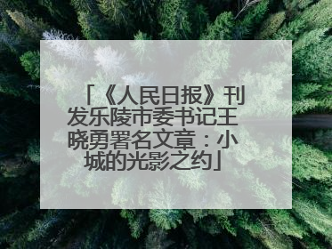 《人民日报》刊发乐陵市委书记王晓勇署名文章：小城的光影之约