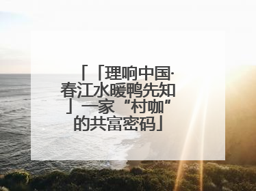 「理响中国·春江水暖鸭先知」一家“村咖”的共富密码