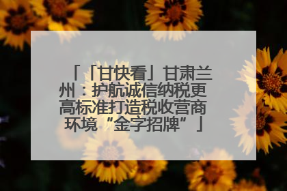 「甘快看」甘肃兰州：护航诚信纳税更高标准打造税收营商环境“金字招牌”