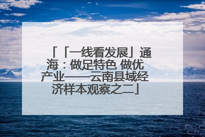 「一线看发展」通海：做足特色 做优产业——云南县域经济样本观察之二