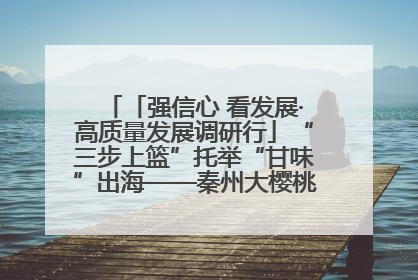 「强信心 看发展·高质量发展调研行」“三步上篮”托举“甘味”出海——秦州大樱桃高质量发展动作分解