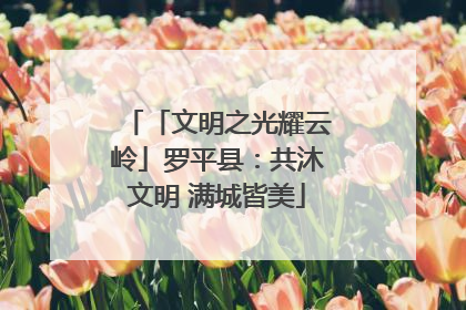 「文明之光耀云岭」罗平县：共沐文明 满城皆美