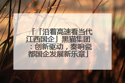 「沿着高速看当代江西国企」黑猫集团：创新驱动，奏响瓷都国企发展新乐章