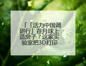 「活力中国调研行」在月球上造房子？这家实验室把3D打印“带上月球”