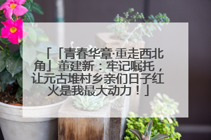 「青春华章·重走西北角」董建新：牢记嘱托，让元古堆村乡亲们日子红火是我最大动力！