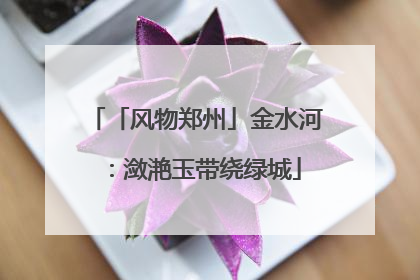 「风物郑州」金水河：潋滟玉带绕绿城