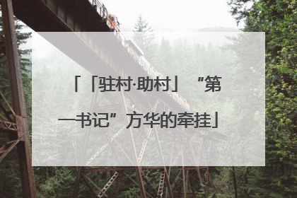 「驻村·助村」“第一书记”方华的牵挂