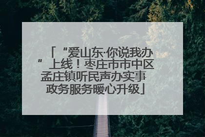 “爱山东·你说我办”上线！枣庄市市中区孟庄镇听民声办实事 政务服务暖心升级