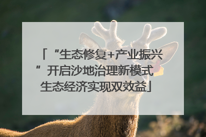 “生态修复+产业振兴”开启沙地治理新模式 生态经济实现双效益