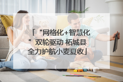 “网格化+智慧化”双轮驱动 柘城县全力护航小麦夏收