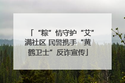 “粽”情守护“艾”满社区 民警携手“黄鹤卫士”反诈宣传