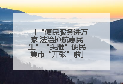 “便民服务进万家 法治护航惠民生”“头雁”便民集市“开张”啦