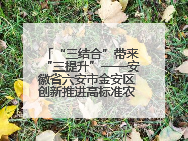 “三结合”带来“三提升”——安徽省六安市金安区创新推进高标准农田建设