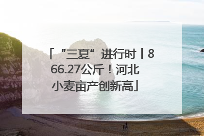 “三夏”进行时丨866.27公斤！河北小麦亩产创新高