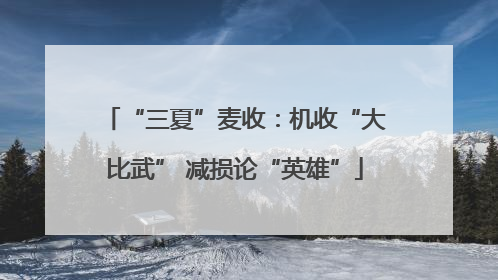 “三夏”麦收：机收“大比武” 减损论“英雄”