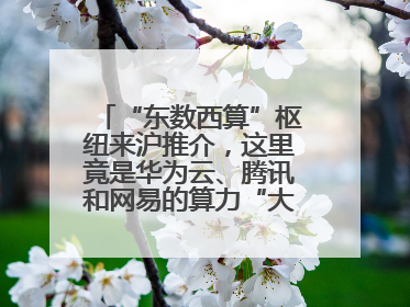 “东数西算”枢纽来沪推介，这里竟是华为云、腾讯和网易的算力“大本营”