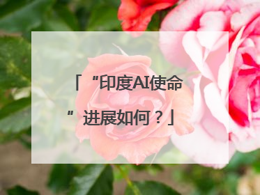 “印度AI使命”进展如何？