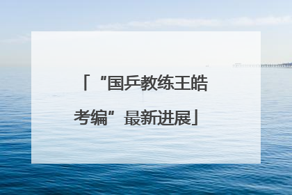 “国乒教练王皓考编”最新进展