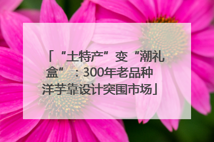 “土特产”变“潮礼盒”：300年老品种洋芋靠设计突围市场