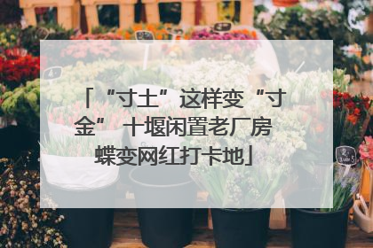 “寸土”这样变“寸金” 十堰闲置老厂房蝶变网红打卡地