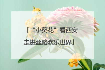 “小葵花”看西安走进丝路欢乐世界