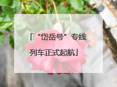 “岱岳号”专线列车正式起航