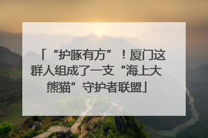 “护豚有方”！厦门这群人组成了一支“海上大熊猫”守护者联盟