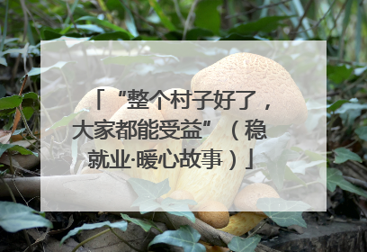 “整个村子好了，大家都能受益”（稳就业·暖心故事）