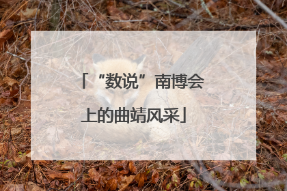 “数说”南博会上的曲靖风采
