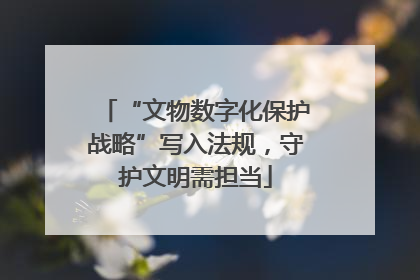 “文物数字化保护战略”写入法规，守护文明需担当