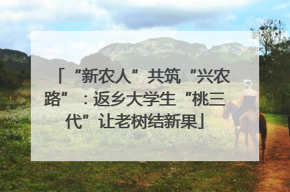 “新农人”共筑“兴农路”：返乡大学生“桃三代”让老树结新果