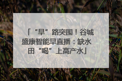 “旱”路突围！谷城盛康智能旱直播：缺水田“喝”上高产水