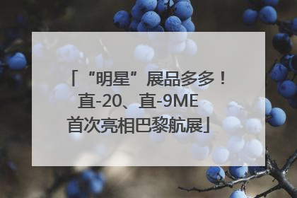 “明星”展品多多！直-20、直-9ME首次亮相巴黎航展