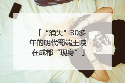 “消失”30多年的明代蜀端王陵在成都“现身”