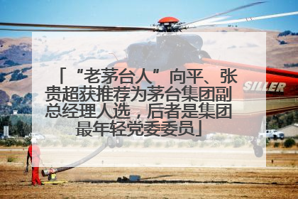 “老茅台人”向平、张贵超获推荐为茅台集团副总经理人选，后者是集团最年轻党委委员