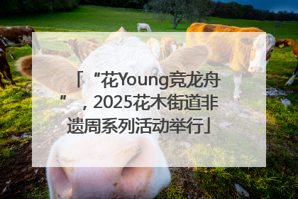 “花Young竞龙舟”，2025花木街道非遗周系列活动举行