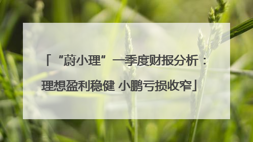 “蔚小理”一季度财报分析：理想盈利稳健 小鹏亏损收窄