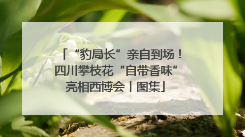 “豹局长”亲自到场！四川攀枝花“自带香味”亮相西博会丨图集