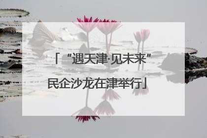 “遇天津·见未来”民企沙龙在津举行