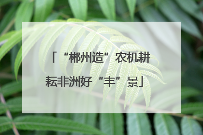 “郴州造”农机耕耘非洲好“丰”景