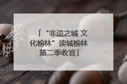 “非遗之城 文化榆林”读城榆林第二季收官