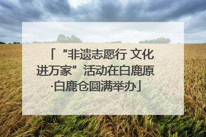 “非遗志愿行 文化进万家”活动在白鹿原·白鹿仓圆满举办