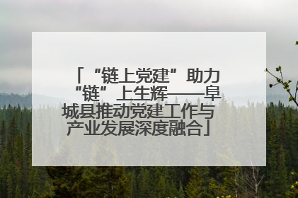 “链上党建”助力“链”上生辉——阜城县推动党建工作与产业发展深度融合
