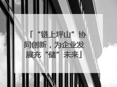 “链上坪山”协同创新，为企业发展充“储”未来