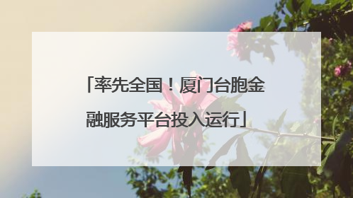 率先全国！厦门台胞金融服务平台投入运行