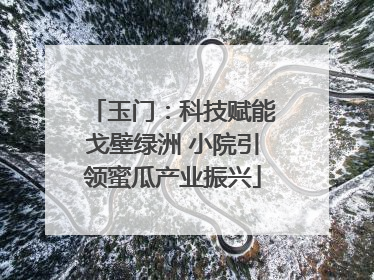 玉门：科技赋能戈壁绿洲 小院引领蜜瓜产业振兴