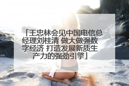 王忠林会见中国电信总经理刘桂清 做大做强数字经济 打造发展新质生产力的强劲引擎