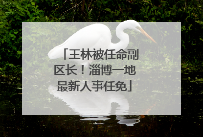 王林被任命副区长！淄博一地最新人事任免