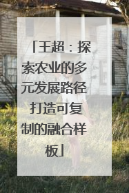 王超：探索农业的多元发展路径 打造可复制的融合样板